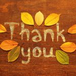 Reflecting on the Thanks in Thanksgiving - Elizabeth Thorson Blog