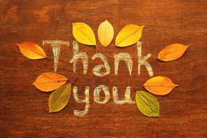 Reflecting on the Thanks in Thanksgiving - Elizabeth Thorson Blog